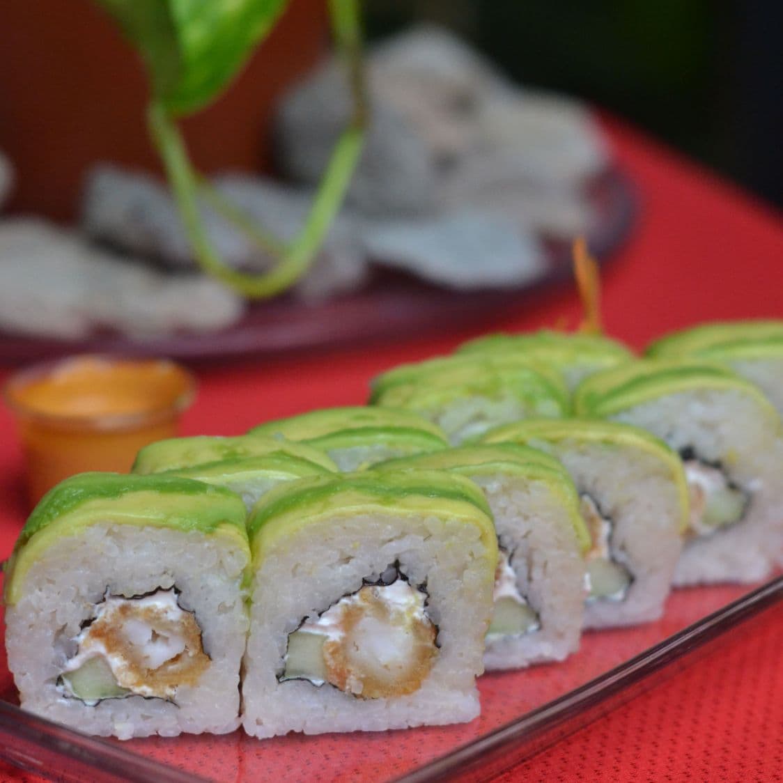 Avocado Roll