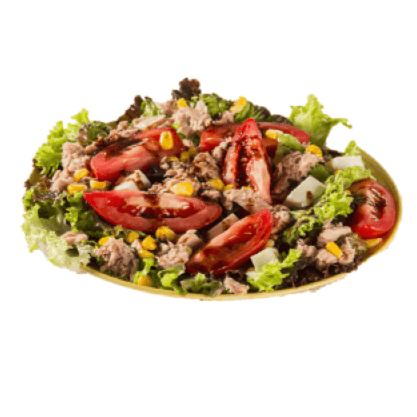 Ensalada de Calamar