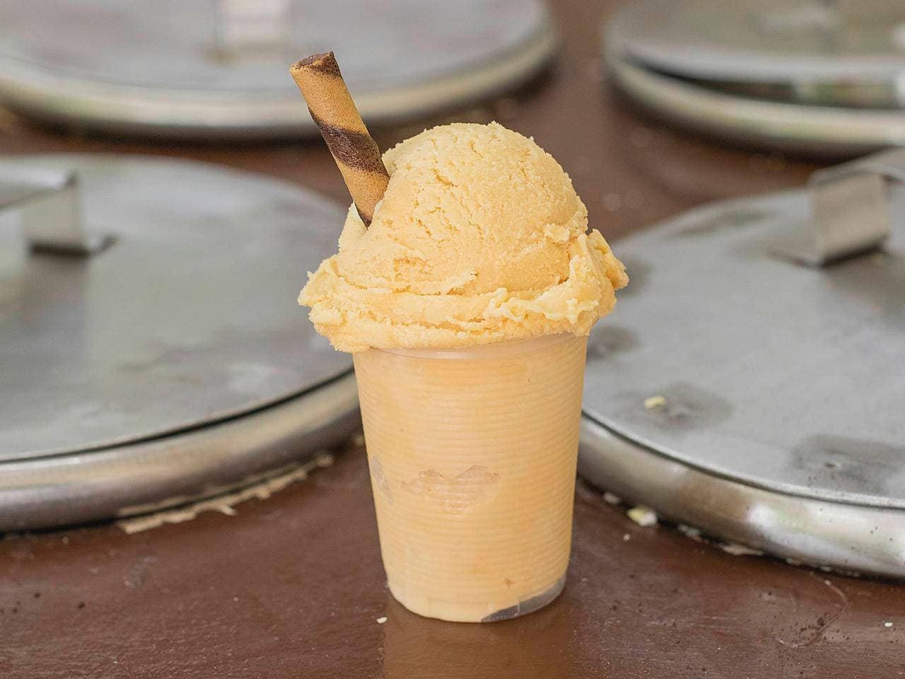 Nieve de Cajeta