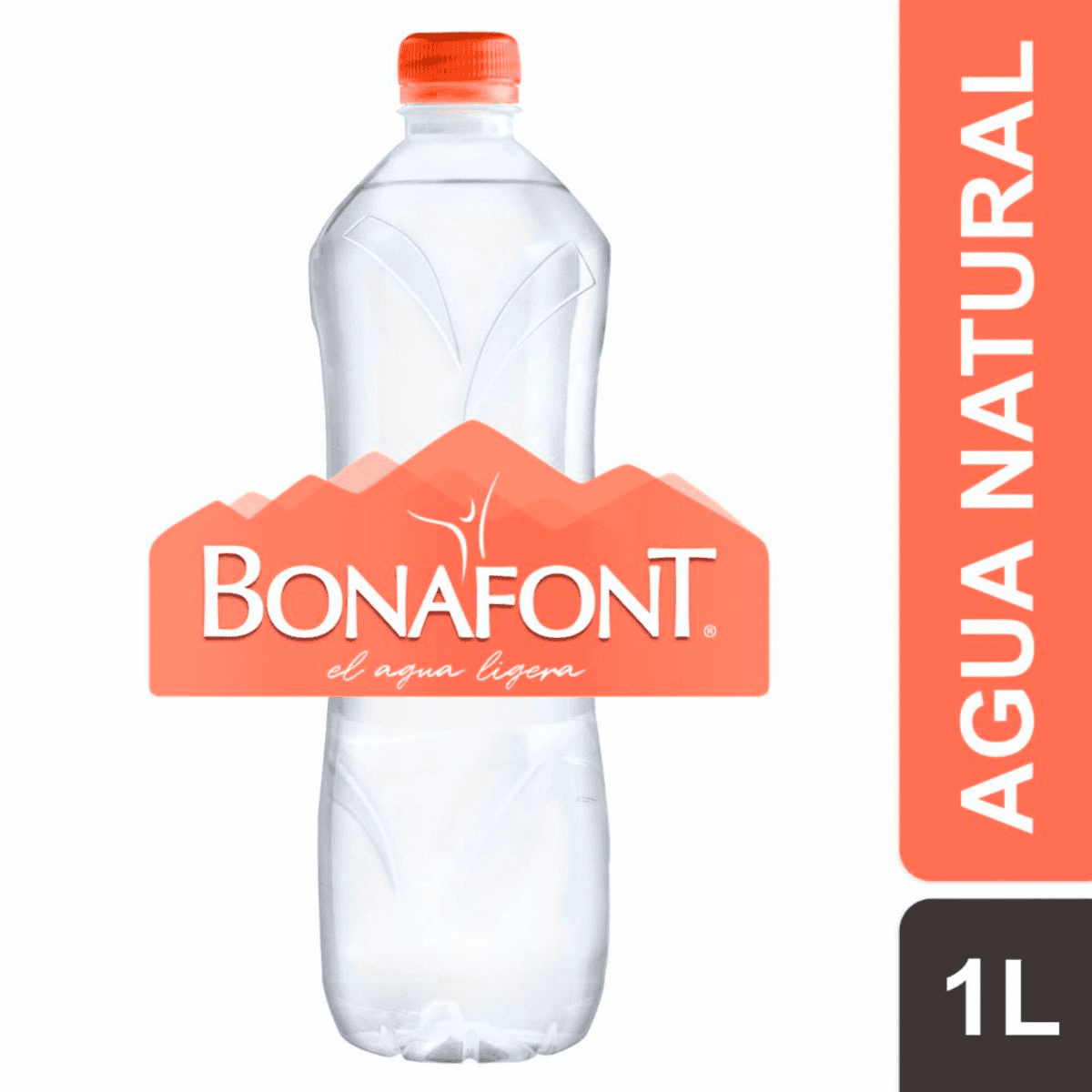 Agua bonafont 1 litro