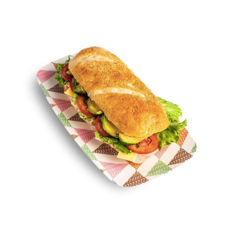PANINIS