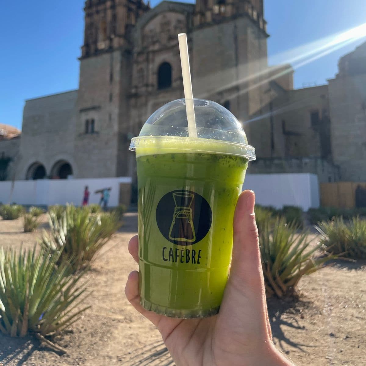 Agua de la Casa 16 oz