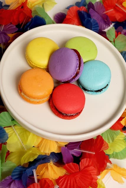 Macarrón LGBT+ verde