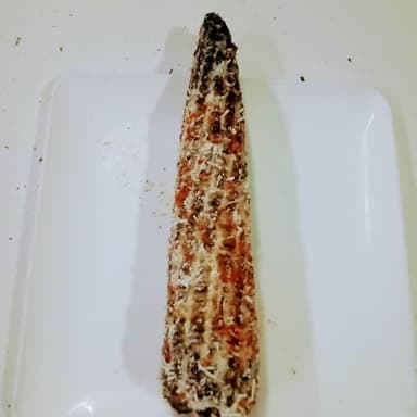 Elote Asado preparado mayonesa,queso y chile