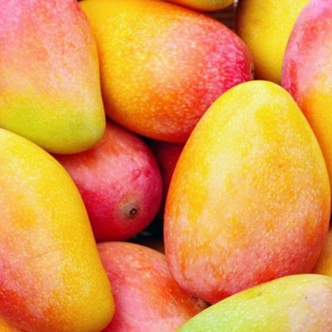 Agua de Mango