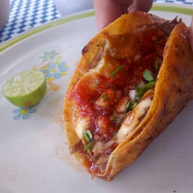 Taco Dorado