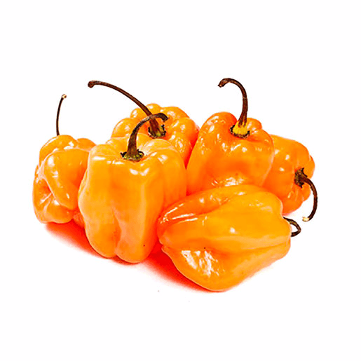 Chile Habanero 250g