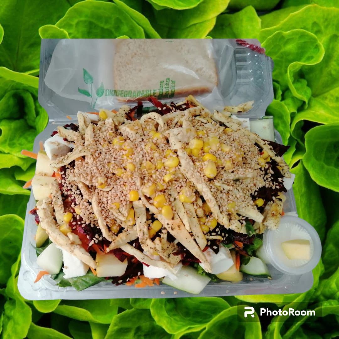 Ensalada Especial (pollo a la Plancha)