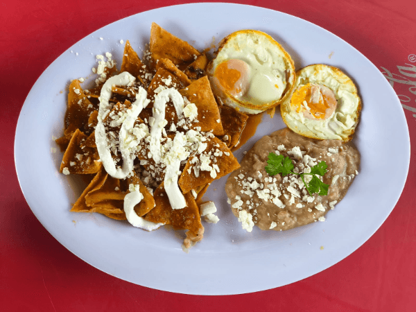 Tacos el monstruo