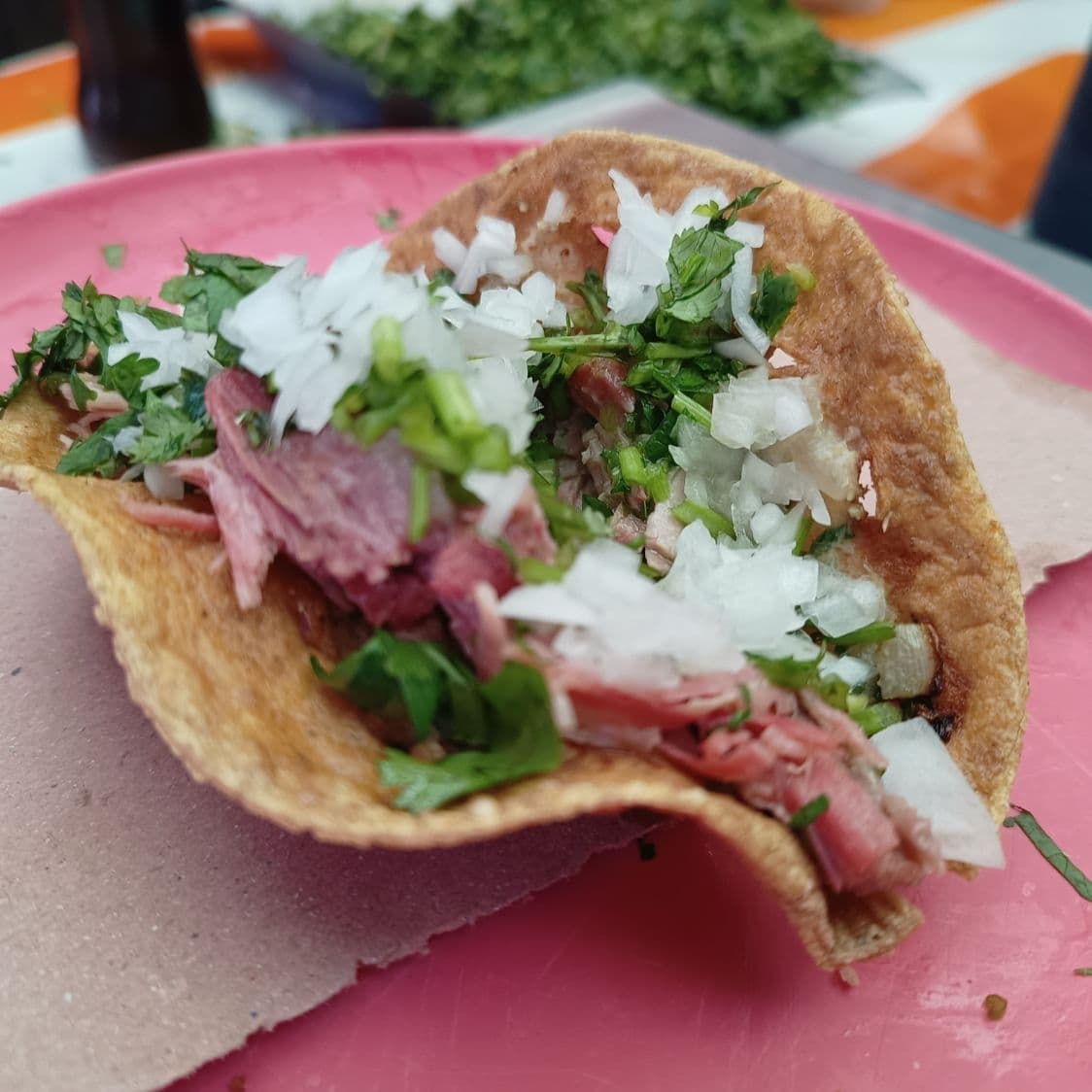 Sesadilla con Carnitas