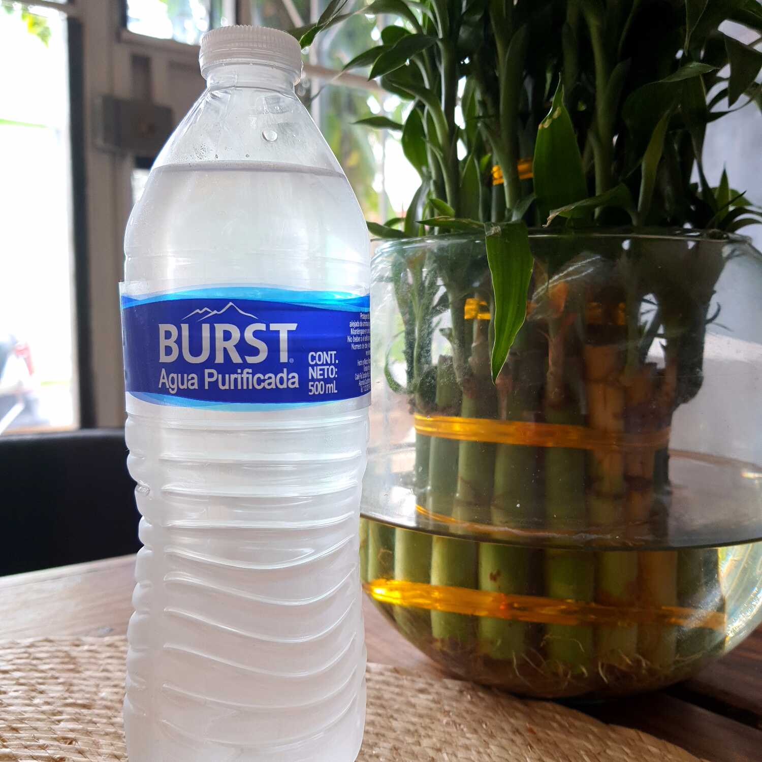 Agua Purificada