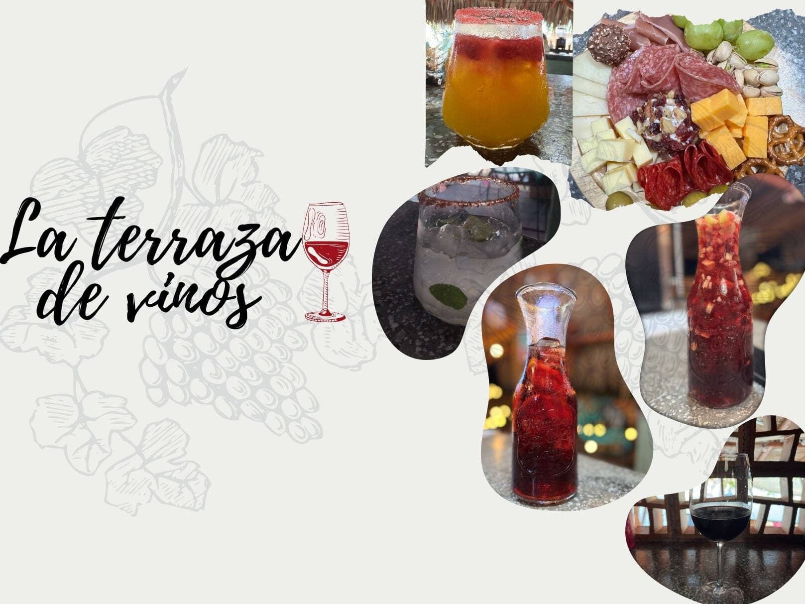 La Terraza de Vinos