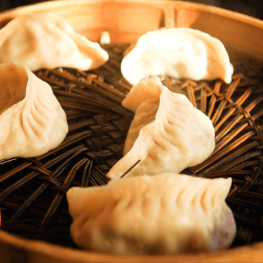Gyoza Vegetariana