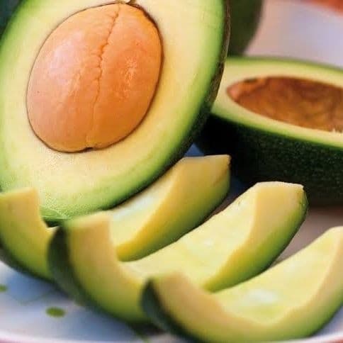 Aguacate