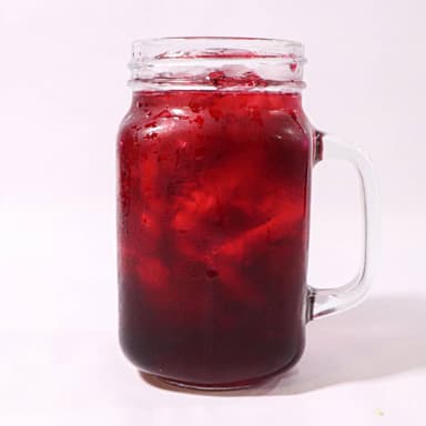 Agua de Jamaica 500ml