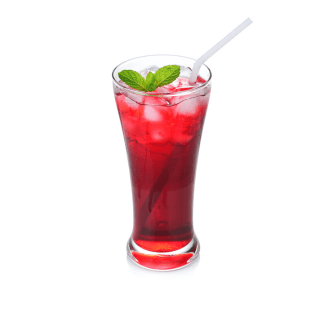 Agua de Jamaica 500 Ml