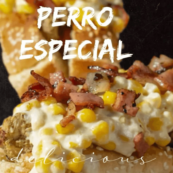 Perro Especial