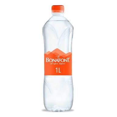 Agua Natural 1 Litro