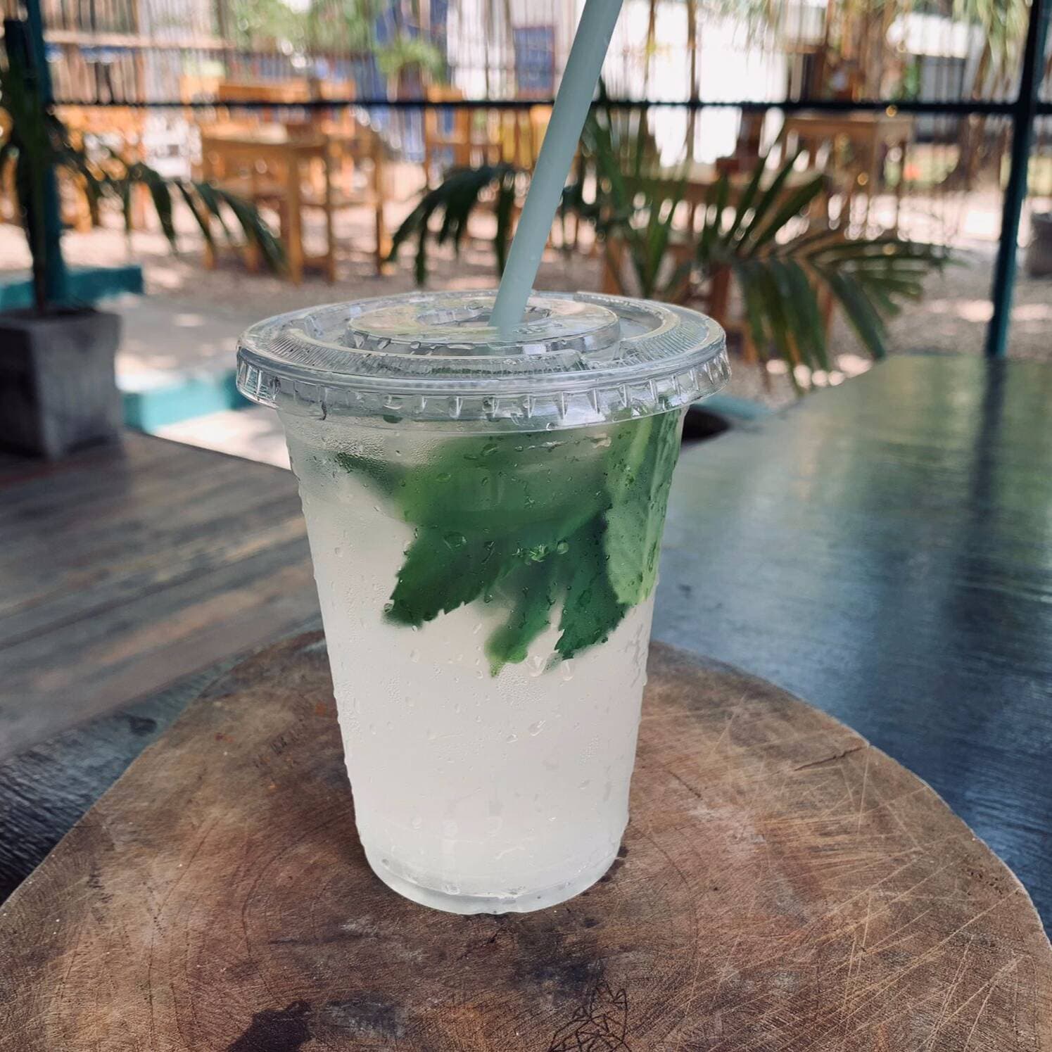 Mojito 500 Ml
