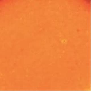 Salsa naranja