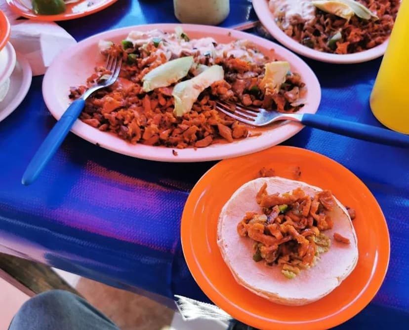 Taquería Gavilán