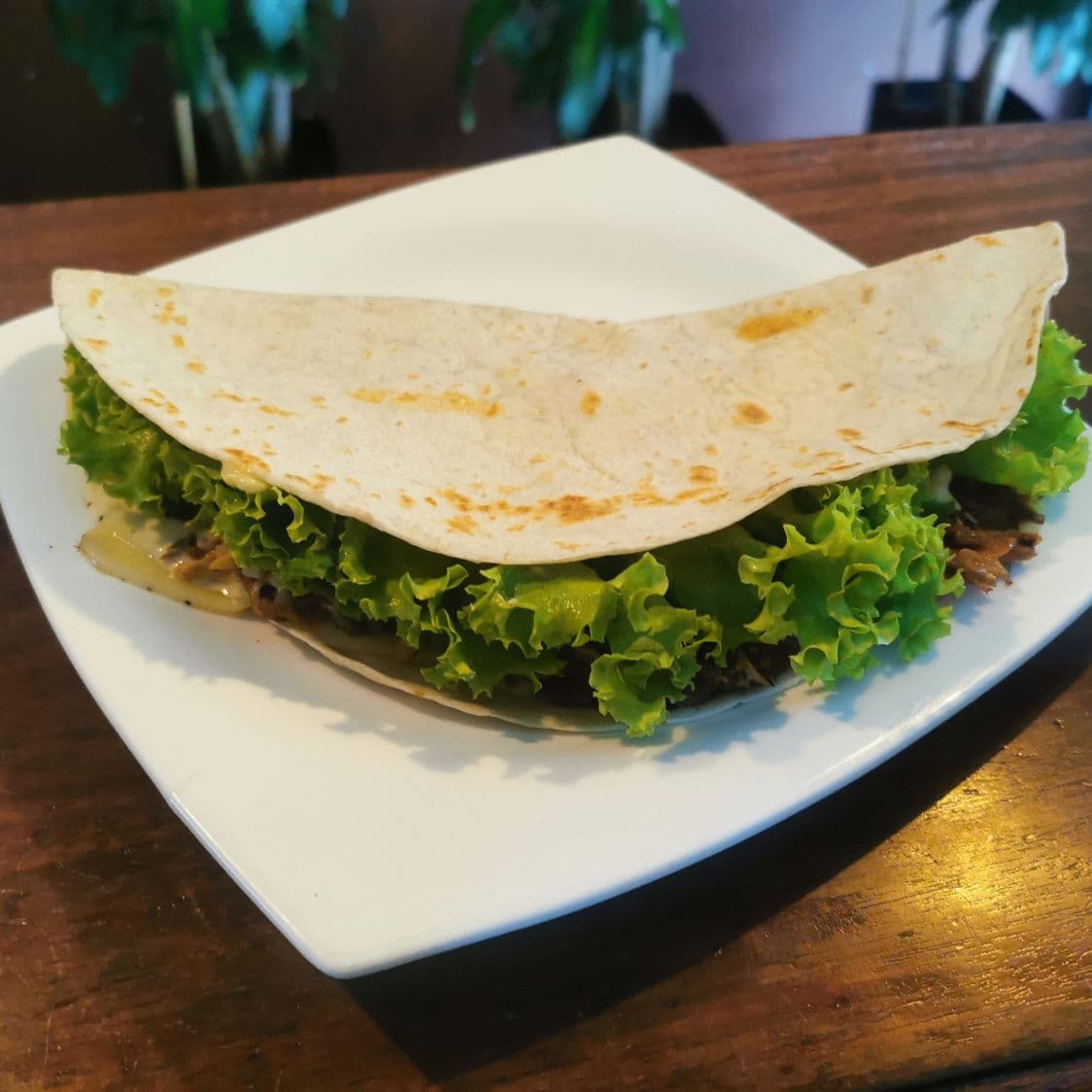 Quesadillas Especial