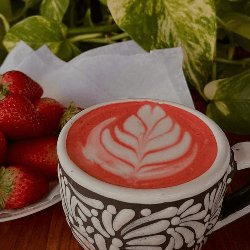 Latte Esencia Extracto de Rosas