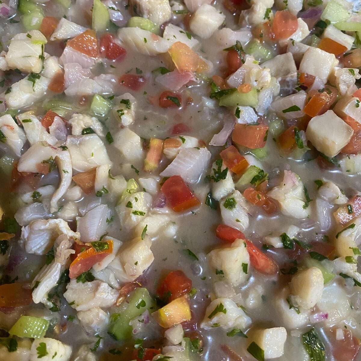 Ceviche de Pescado Lt.