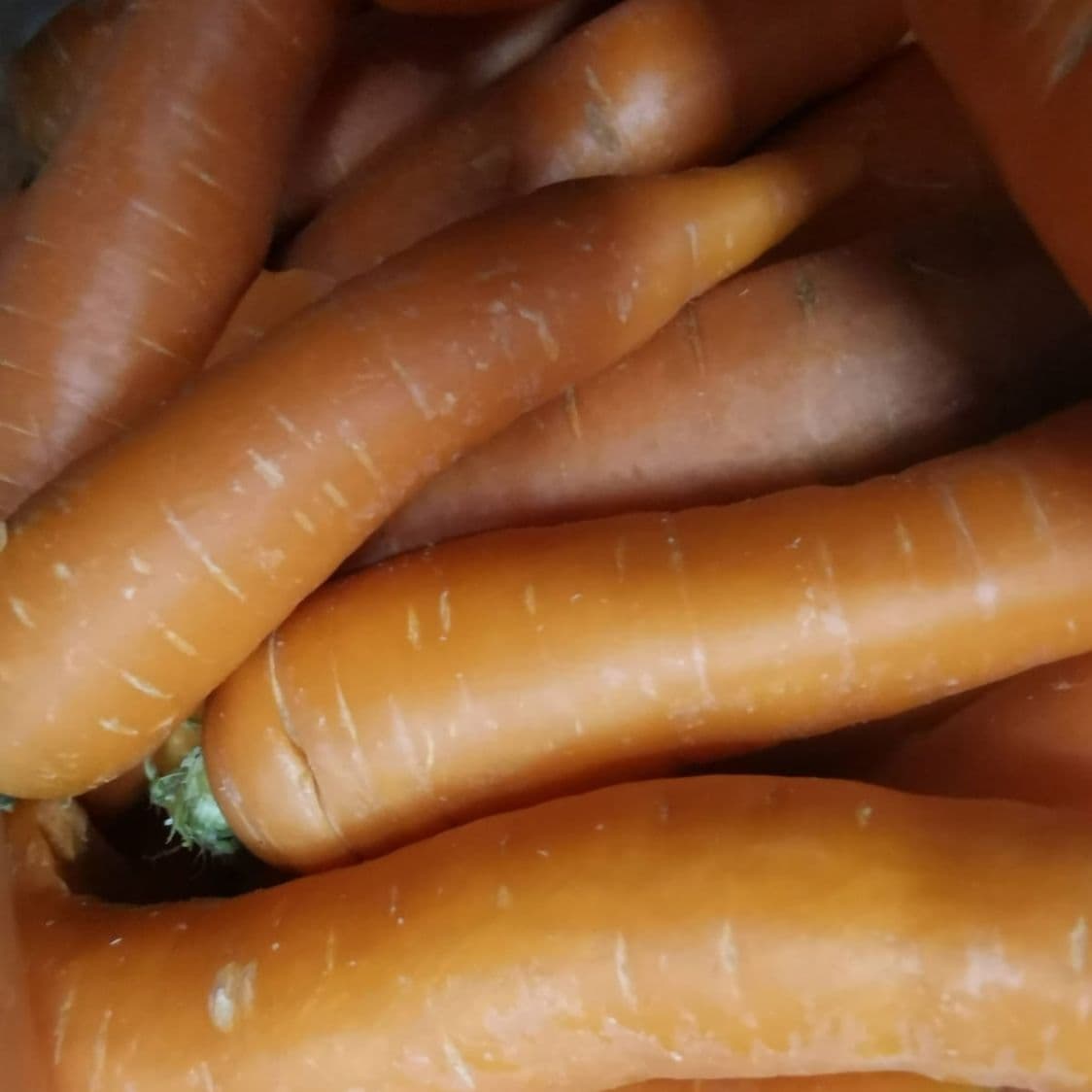 ZANAHORIA 1 KG