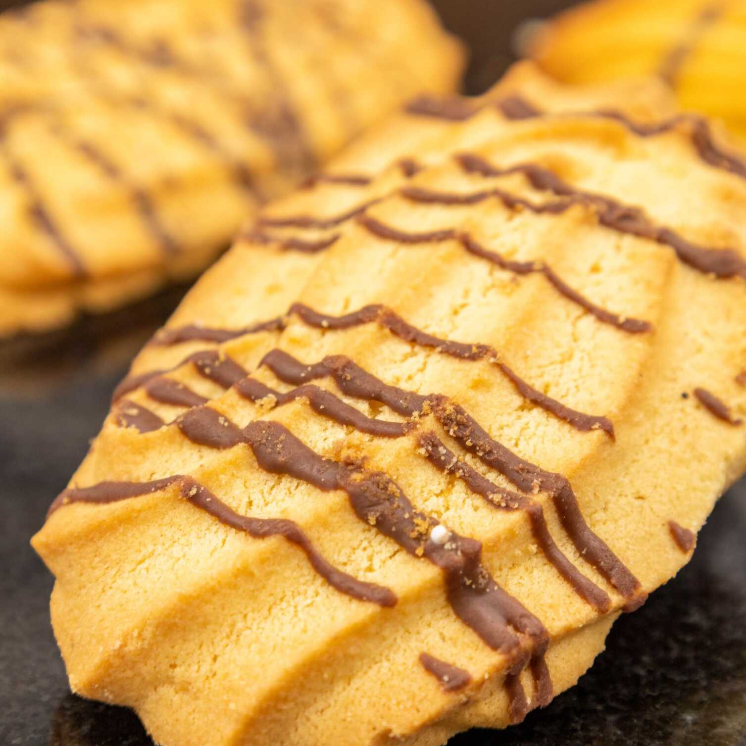 Galleta Risada con Lineas de Chocolate