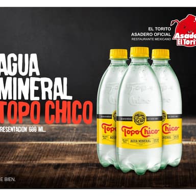 Topochico 600 ml