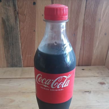 Coca Cola de 450ml