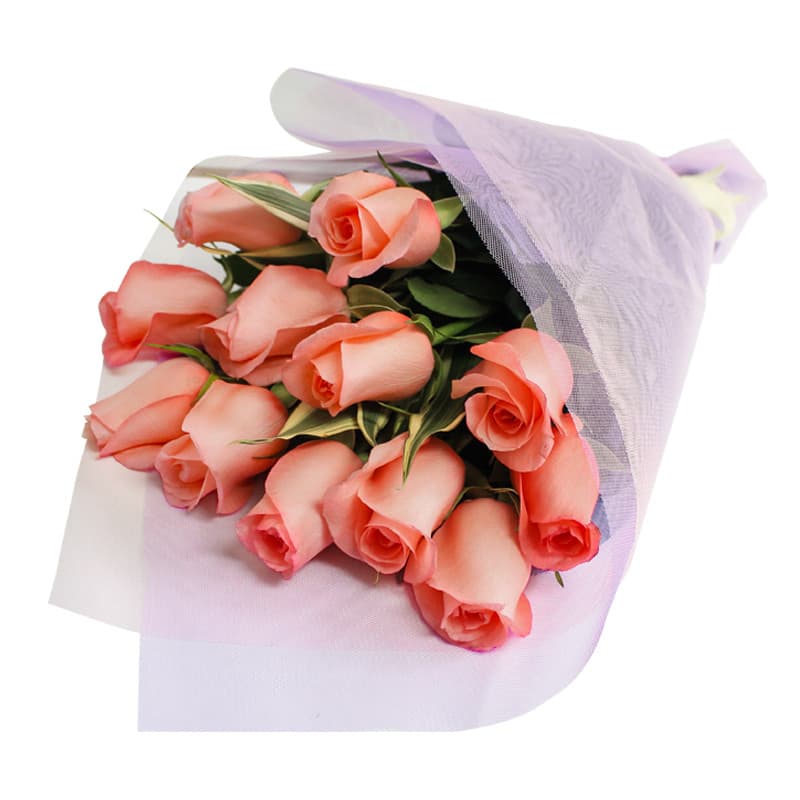 Docena de Rosas Rositas