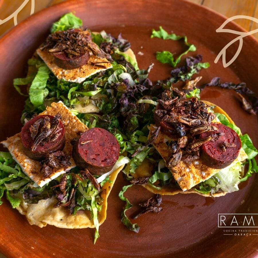 Trilogía de Tostadas