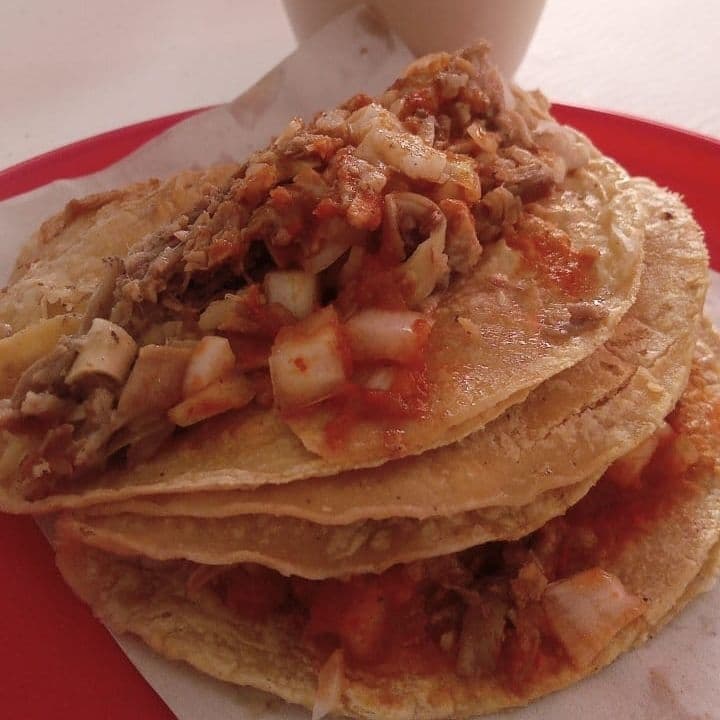 Orden de tacos aL VAPOR   MACIZA (5 piezas)