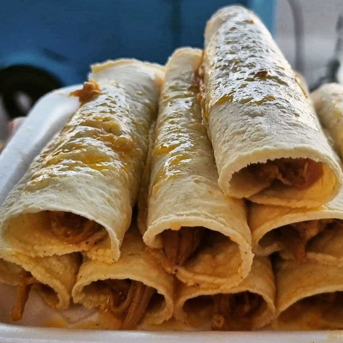 Taquiza de Lechon