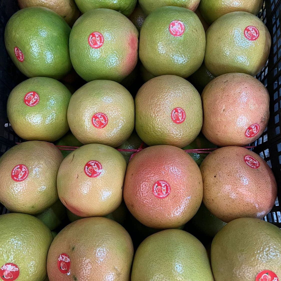 POMELO 1kg