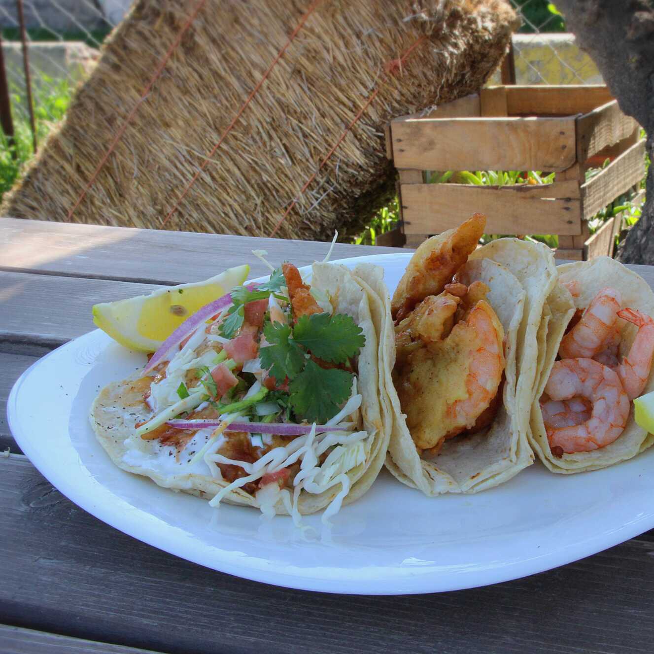 Tacos de Camarón Capeado