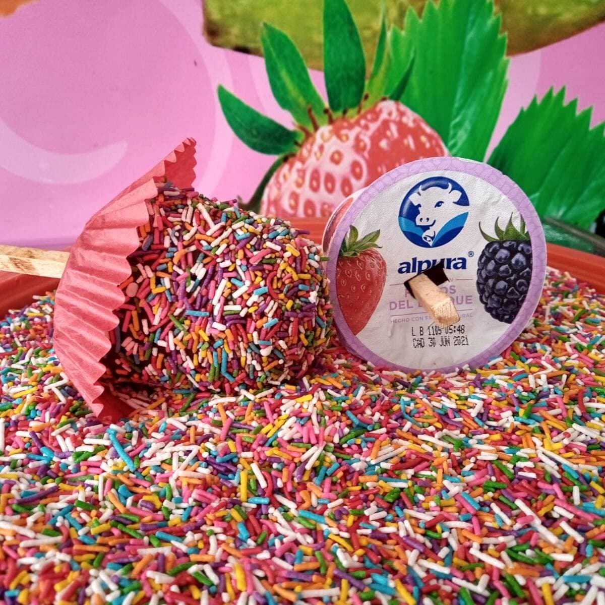 Yogurt de Zarzamora