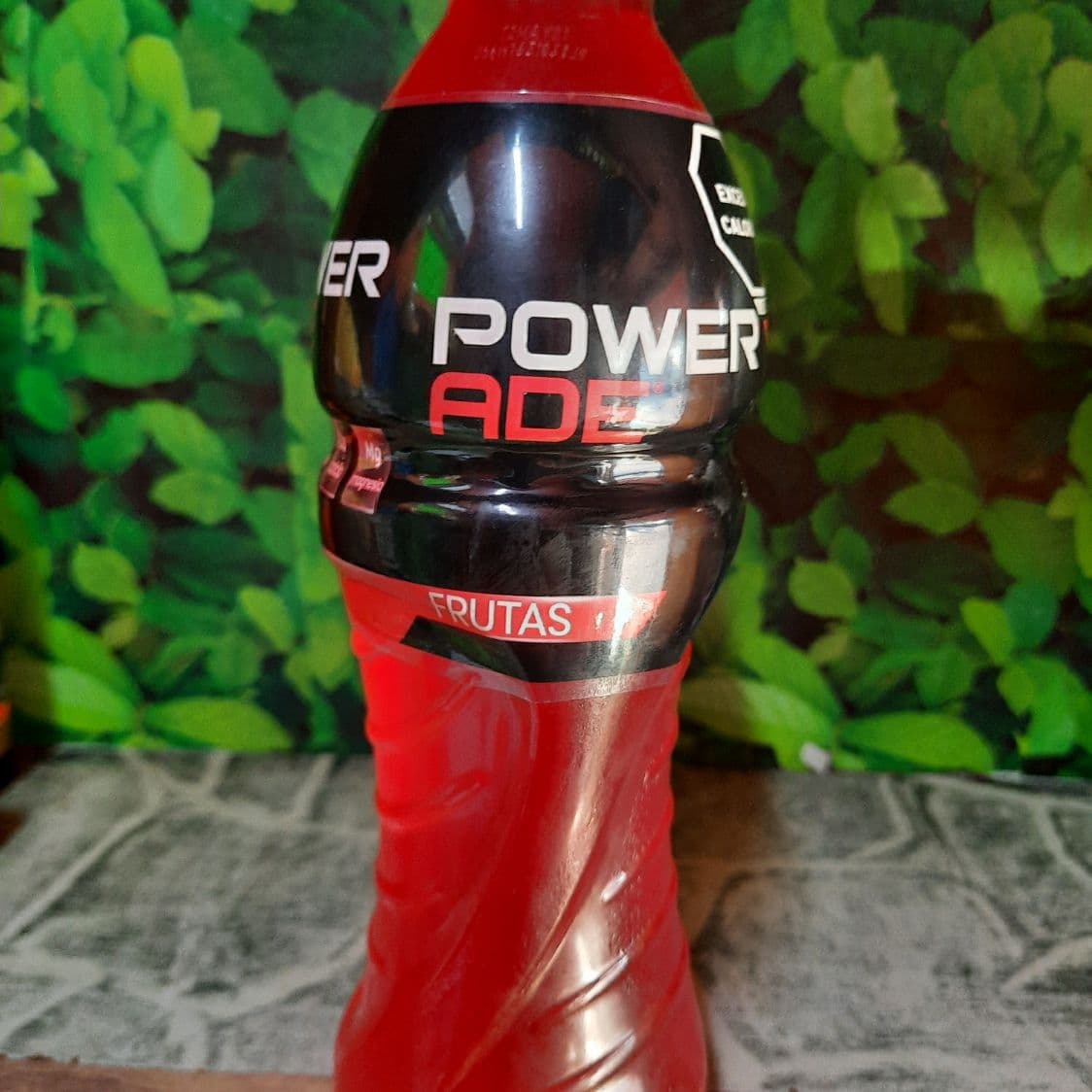 Power Frutas 600 Ml.