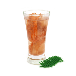 Agua de Tamarindo 500 ML