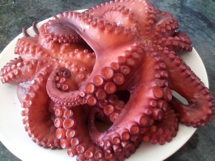 Pulpo Cocido