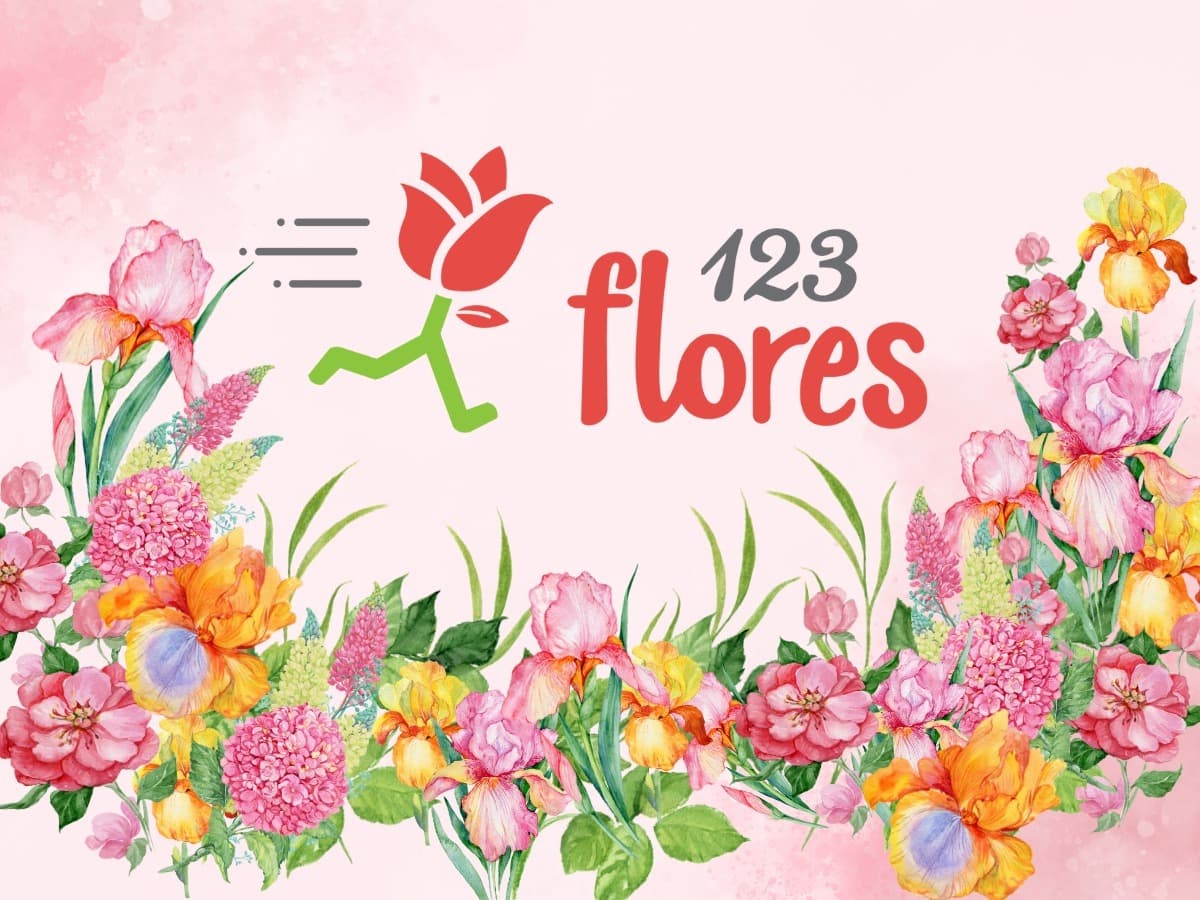 123Flores Colima