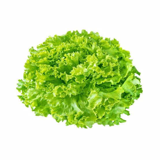 Lechuga Italiana Pza