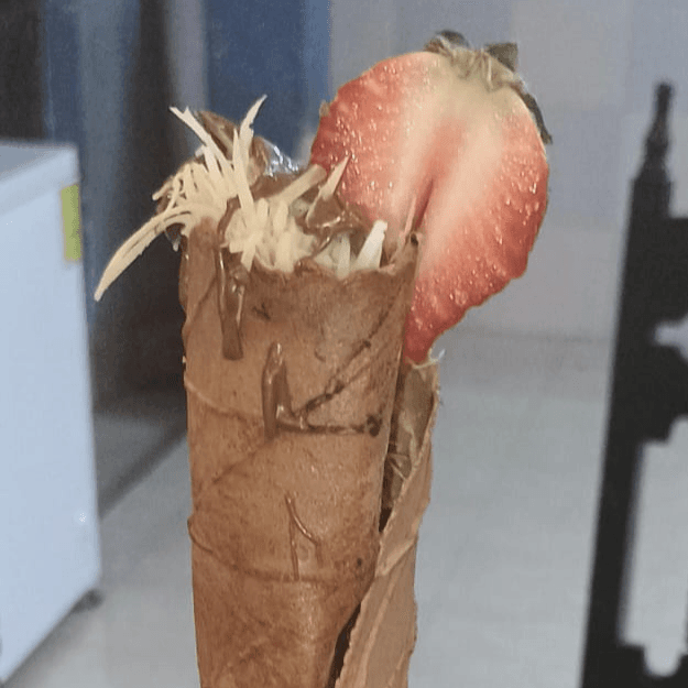 Marquesita Combinada Fresas