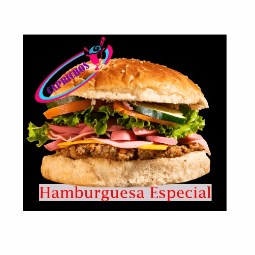 Hamburguesa Especial