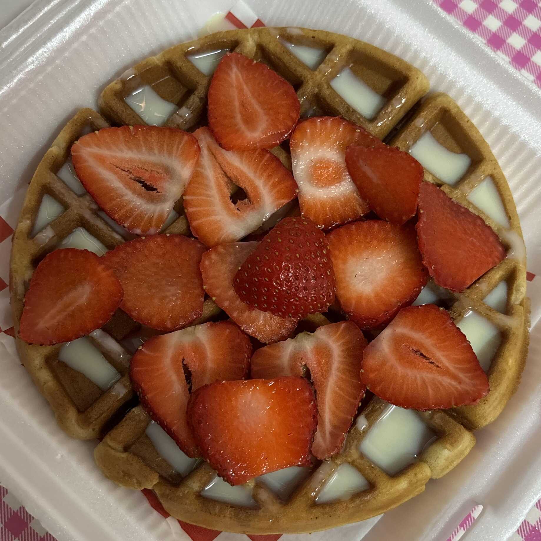 WAFFLE FRESA