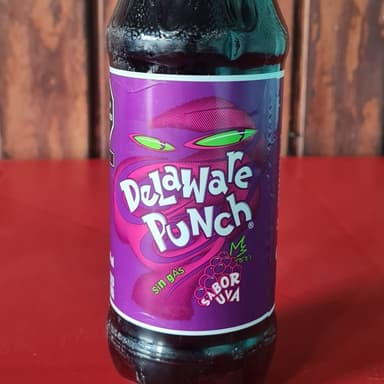 Delawere ponch