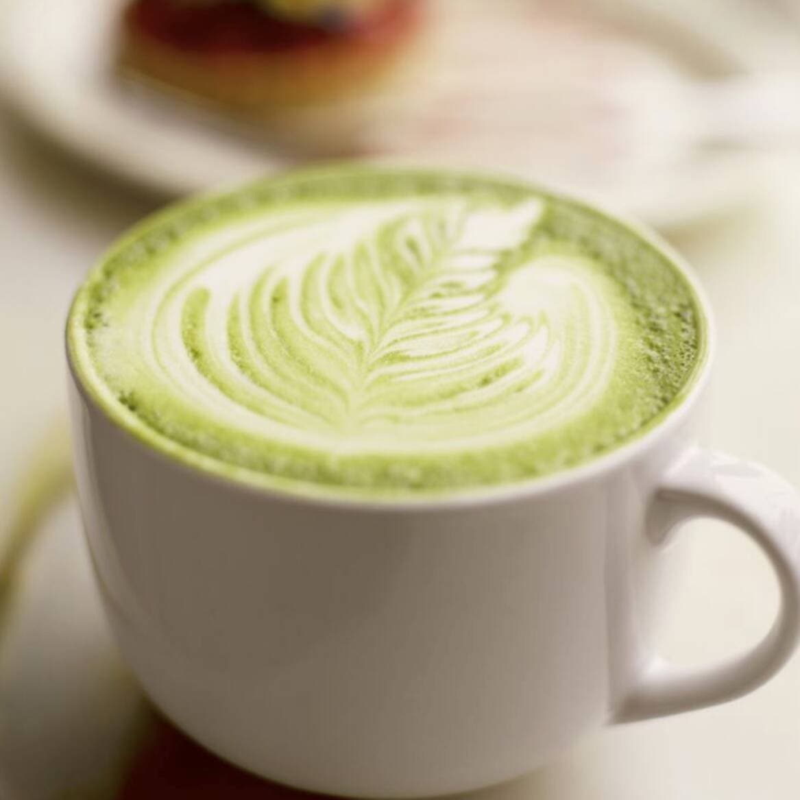 Matcha Caliente 16 oz