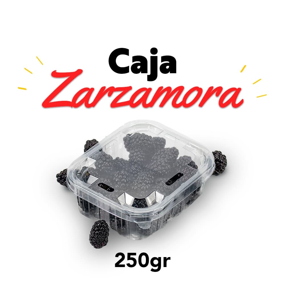 Zarzamora 250gr